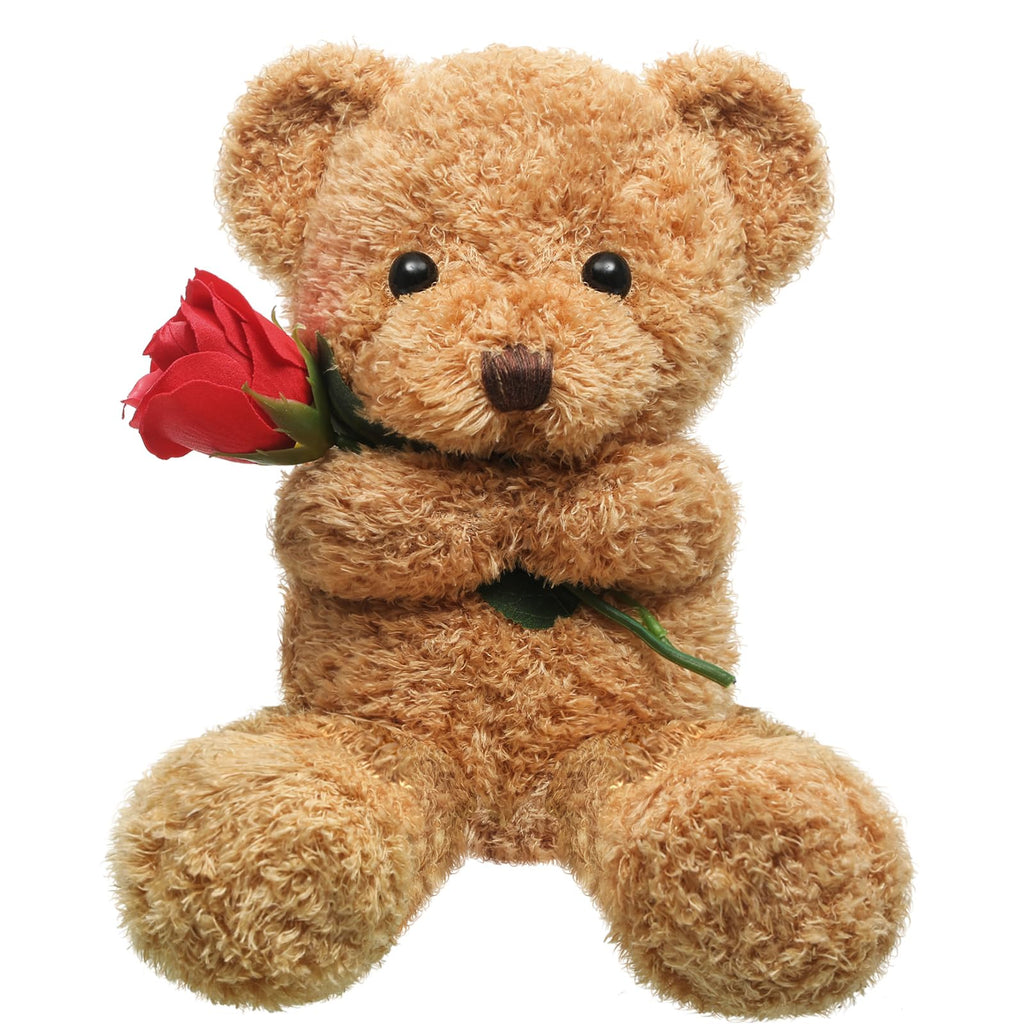 Teddy Bear Holding Rose