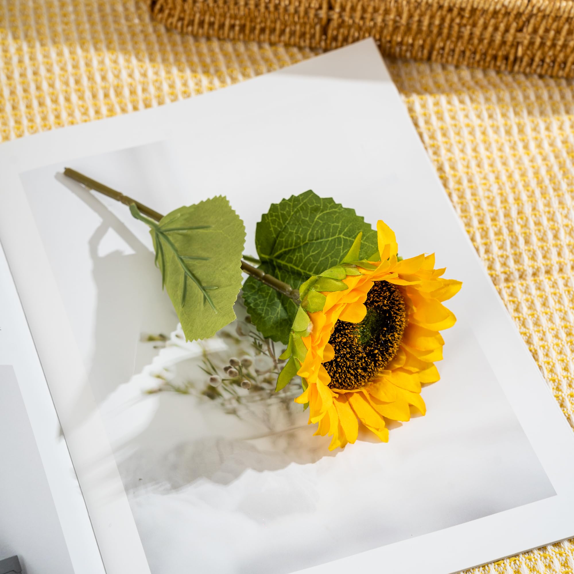 Sunshine Themed Bundle Box